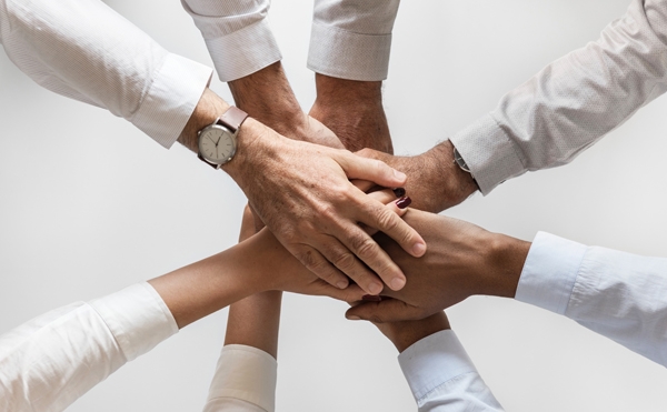 Close-up of a digital stock trading app interface with investment charts and market trends displayed.